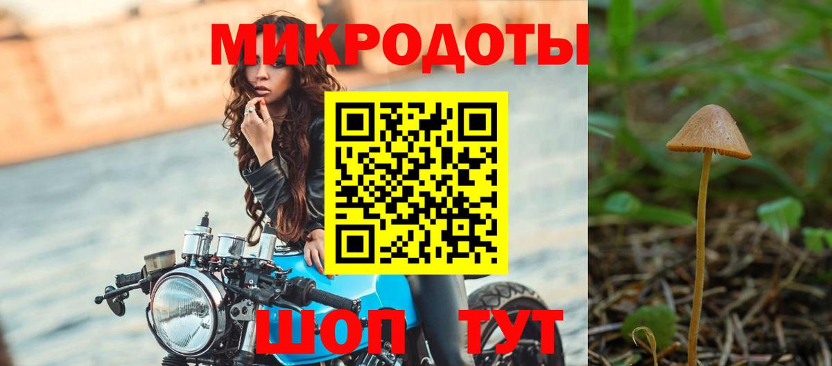 Галлюциногенные грибы Psilocybine cubensis Фролово